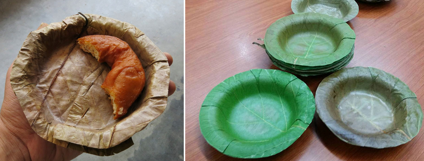 Edible disposable leaf dish 