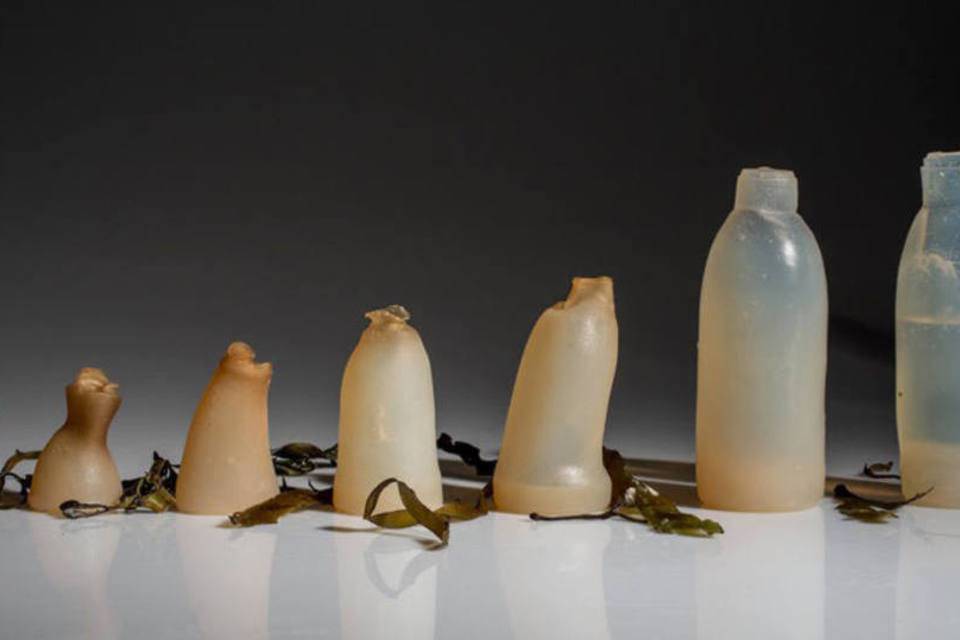 Seaweed bottles will change the way you drink water