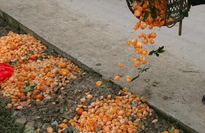 Inovação sustentável: cascas de laranja para despoluir a água