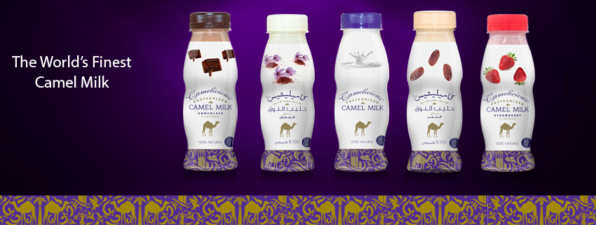 Have you ever thought to consume camel milk products?