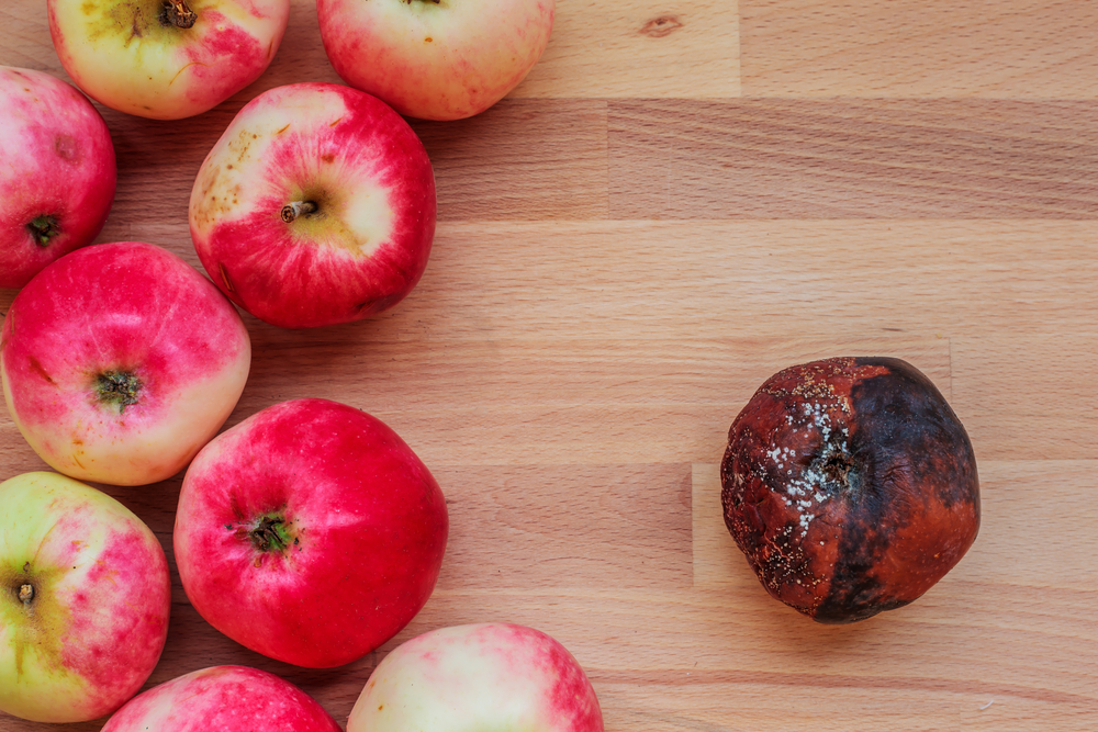 Startup cria fórmula para frutas sem agrotóxicos durarem 5x mais tempo