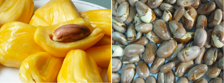 Innovation with jackfruit: the fruit has been rediscovered and is a ...