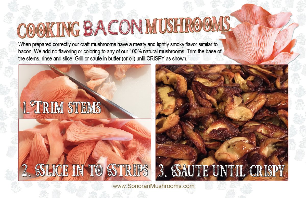 Cogumelos com gosto de bacon 2