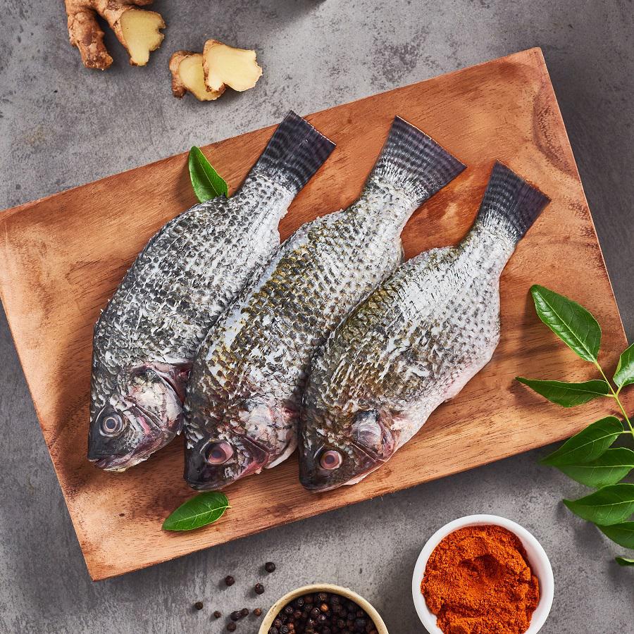 Innovation with tilapia: a world of new products
