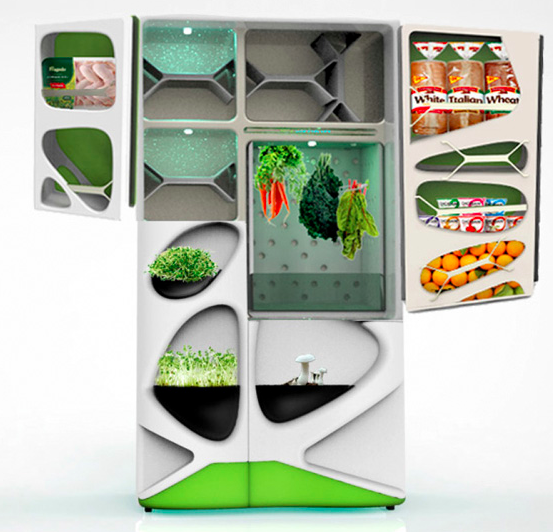 High tech or ecological: what will be your fridge?