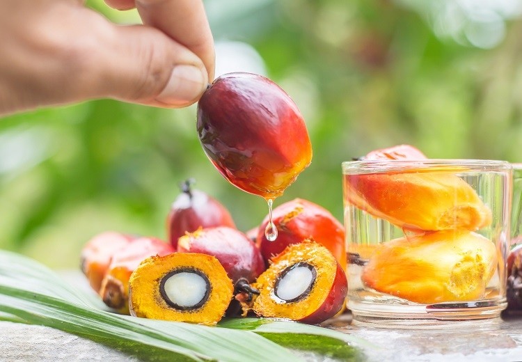 Unilever invests US$120 million in alternative to palm oil