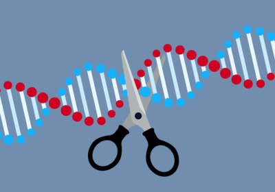 Imagem que explica o que é o CRISPR
