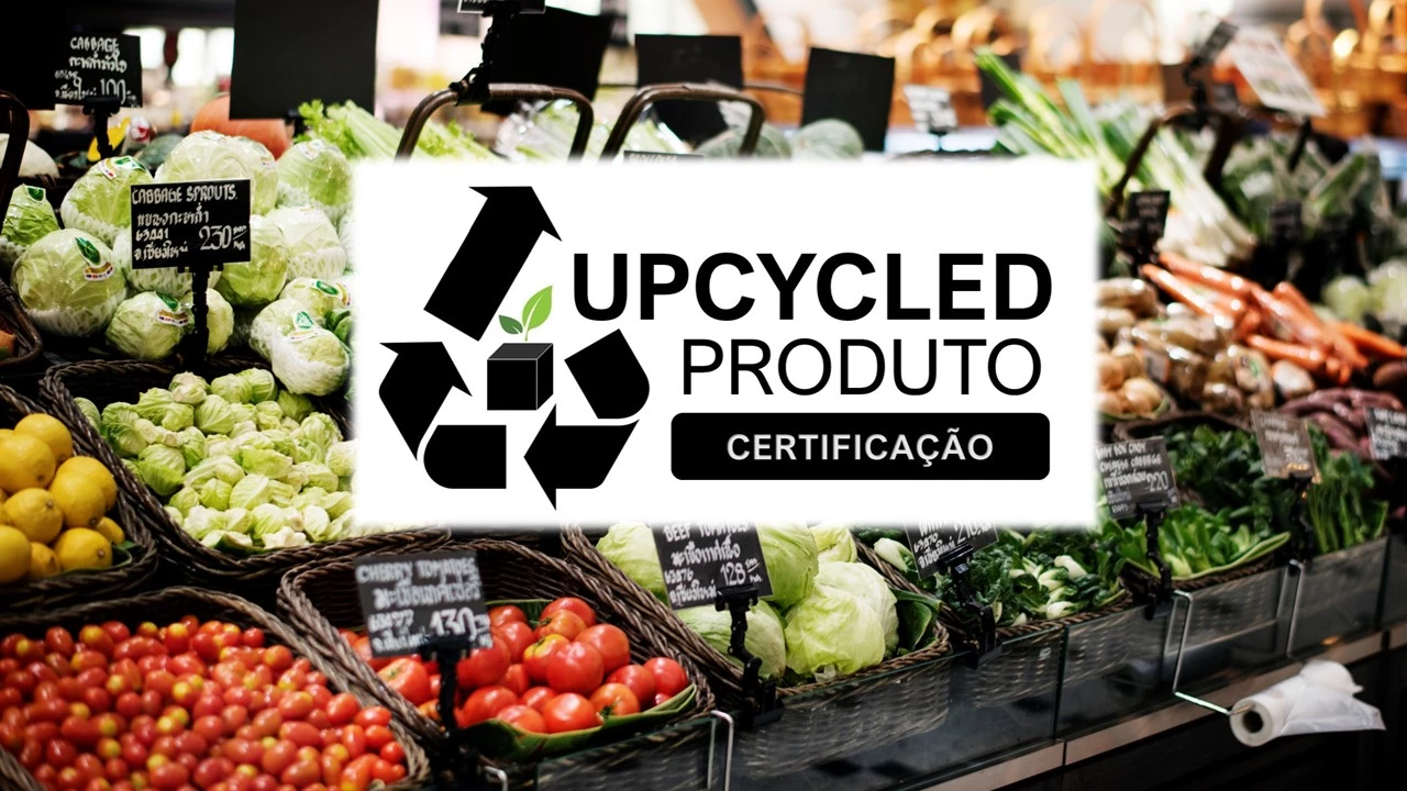 Certificado Upcycled: um investimento que vale a pena para a sua empresa e para o consumidor