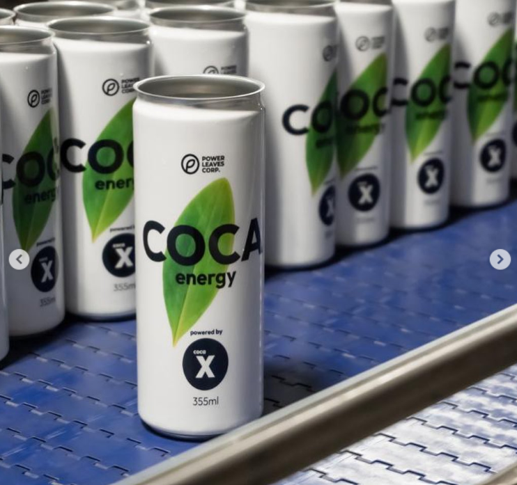 Upcycling de folhas de coca pode ser a solução para reduzir açúcar na indústria de alimentos